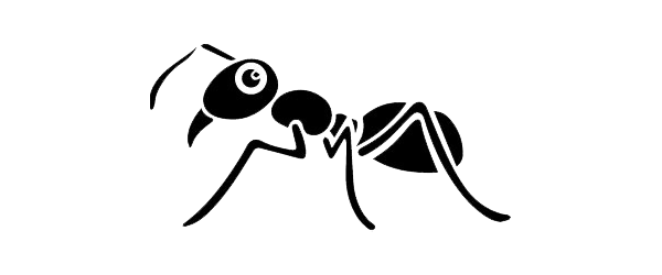 ant control doha qatar