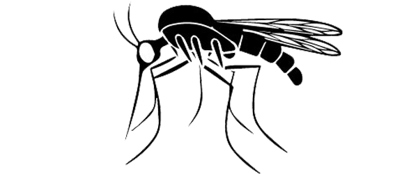 mosquito pest control doha qatar